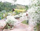 Área dos celibatários