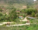 Área dos celibatários