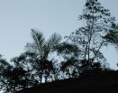 Retiro dias 26 e 27 de Maio. Tema: Sob o Manto de Nossa Senhora