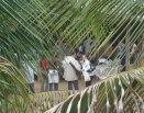RETIRO DO MÊS DE MAIO ( TOTUS TUUS) - TODO DE MARIA