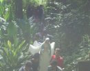 RETIRO DE JOVENS NA CMR, COM O TEMA: TU É MEU FILHO, EU HOJE TE GEREI.