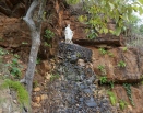 Retiro de Maio - Nossa Senhora Estrela da Manhã