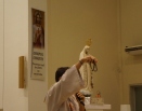 Comunidade Mãe Rainha Estrela da Manhã na Paróquia Nossa  Senhora de Fátima, Serra